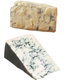 Gorgonzola Dolce and piccante
